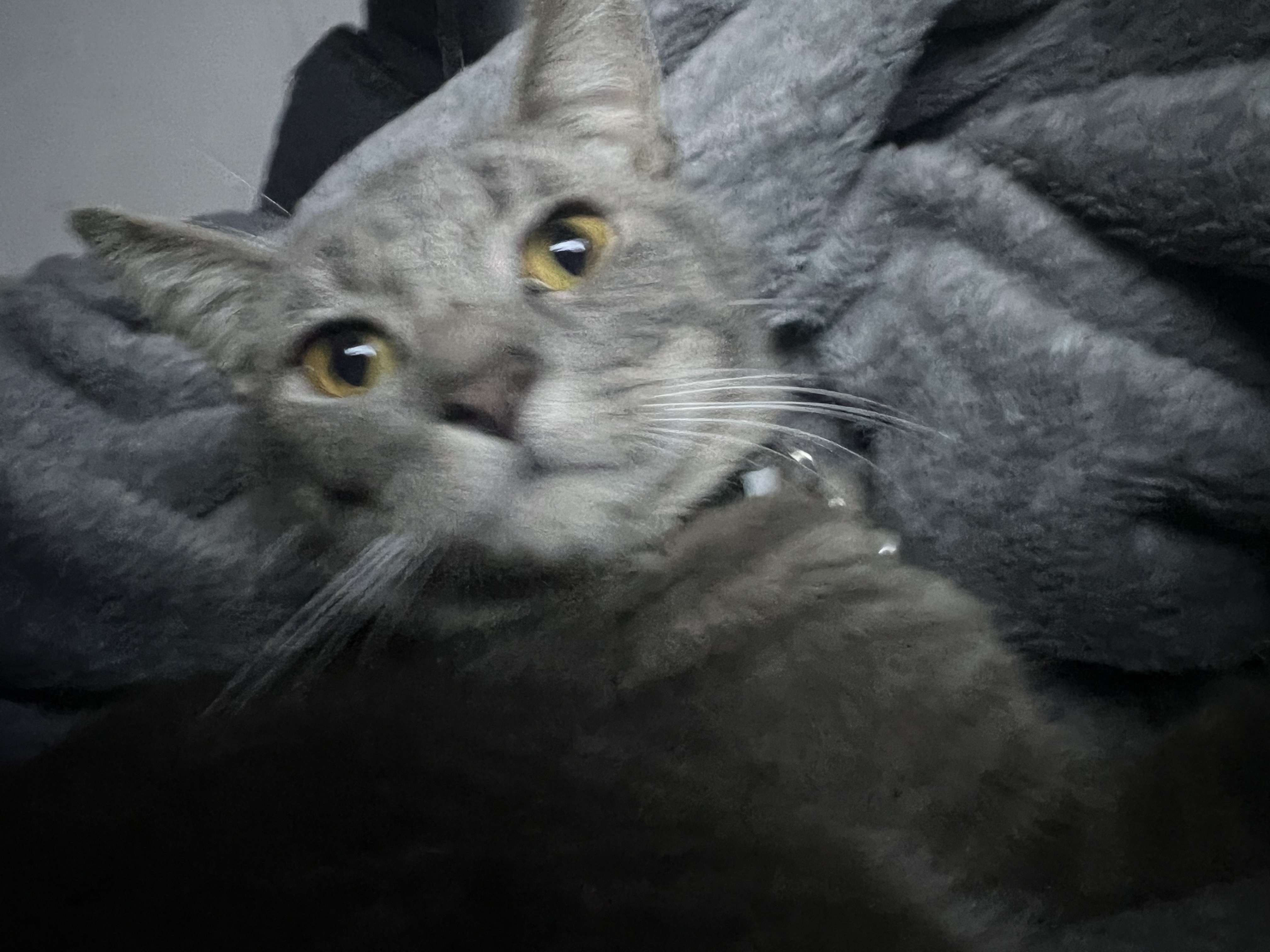 King Tubby